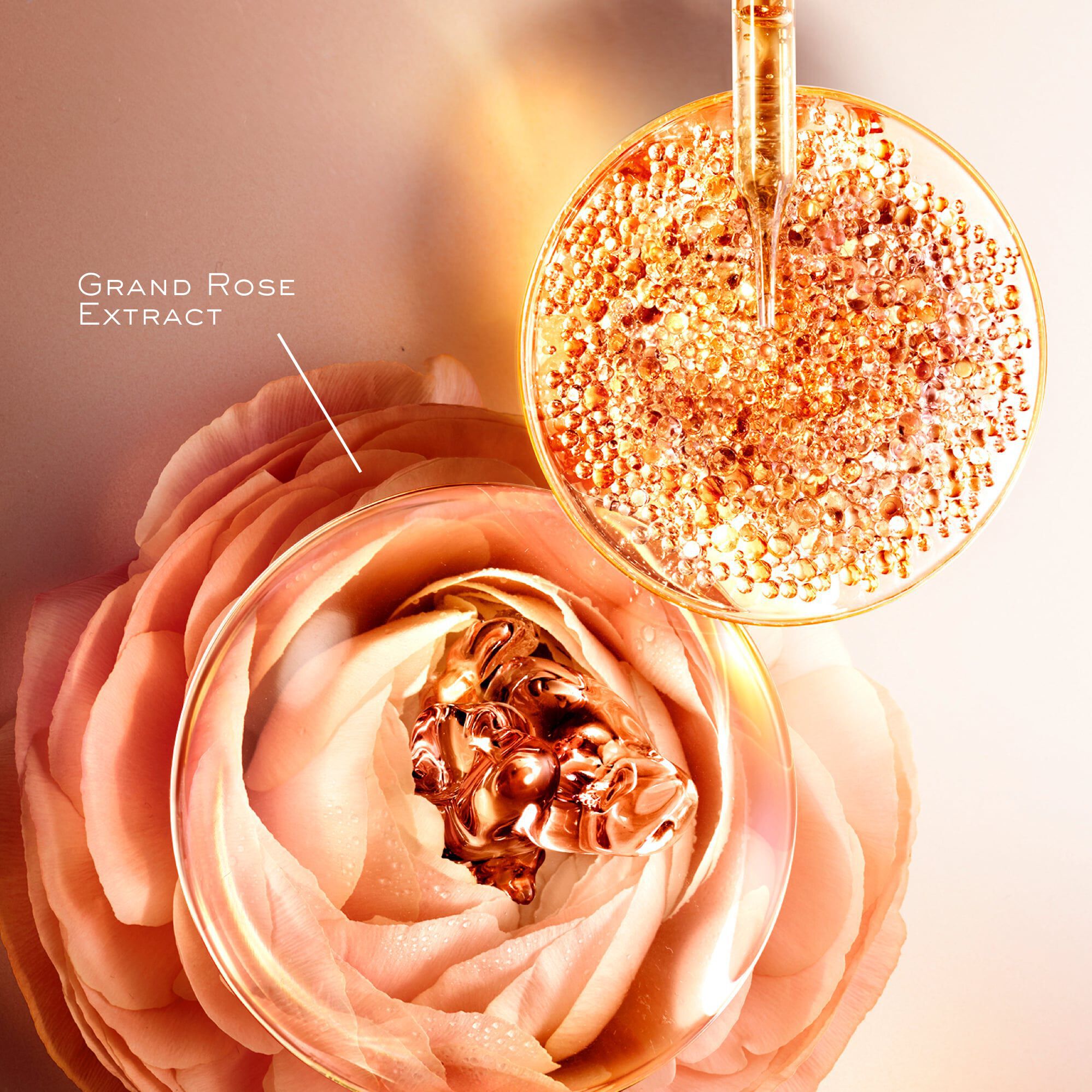 KEM DƯỠNG GIUP TAI TẠO VUNG DA MẮT ABSOLUE