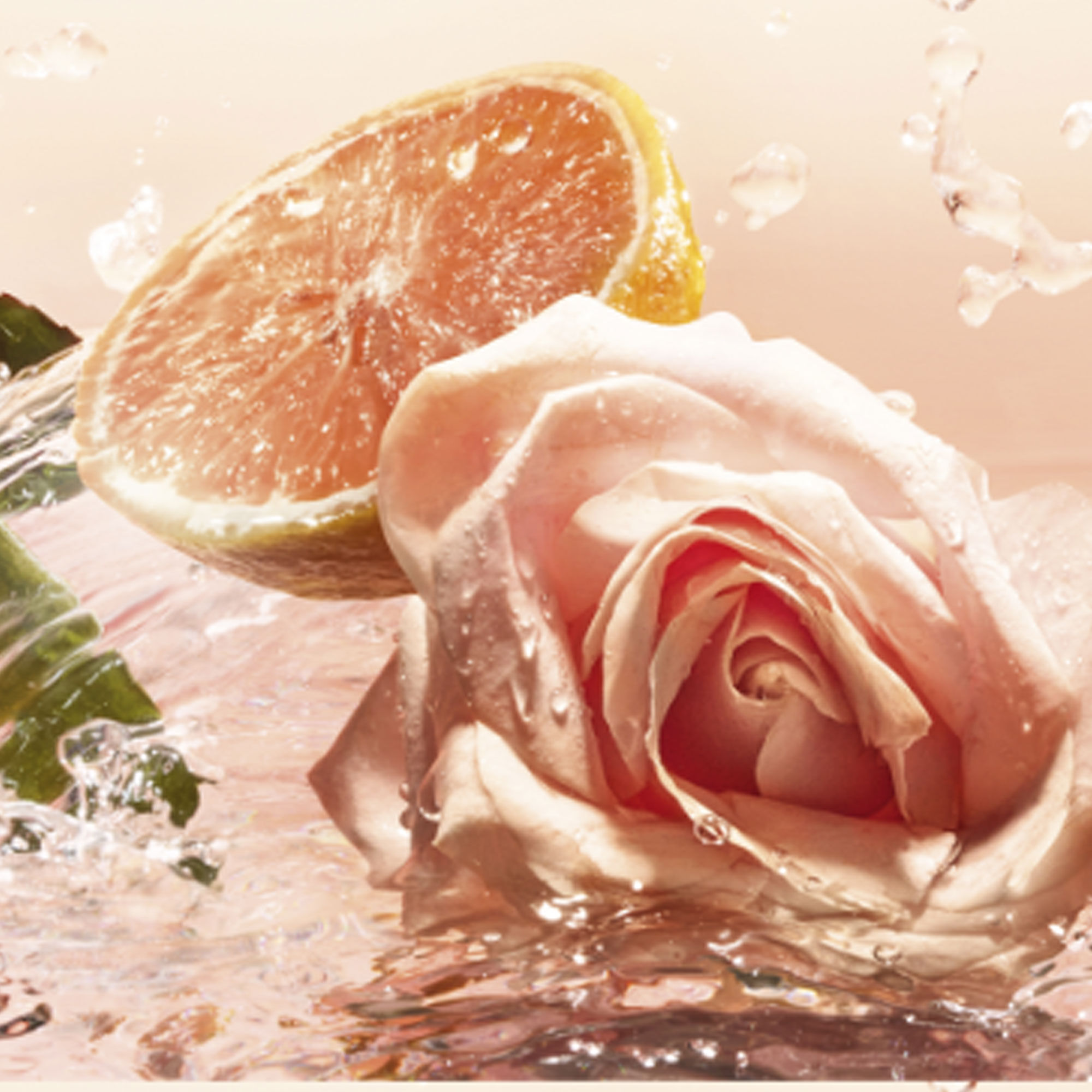 IDOLE L'EAU DE TOILETTE