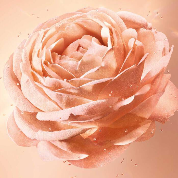 PHẤN PHỦ DẠNG BỘT ABSOLUE LOOSE POWDER