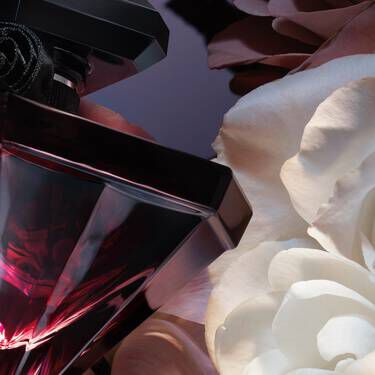 Nước Hoa La Nuit Tresor Fleur de Nuit’s Quyến Rũ, Loi Cuốn
