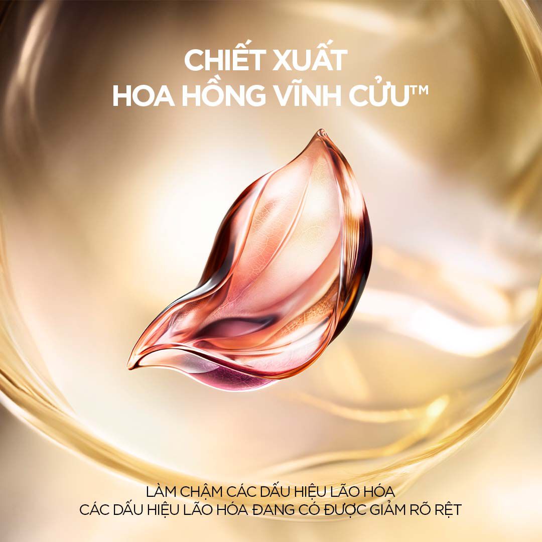 KEM DƯỠNG GIUP TAI TẠO LAN DA ABSOLUE LONGEVITY